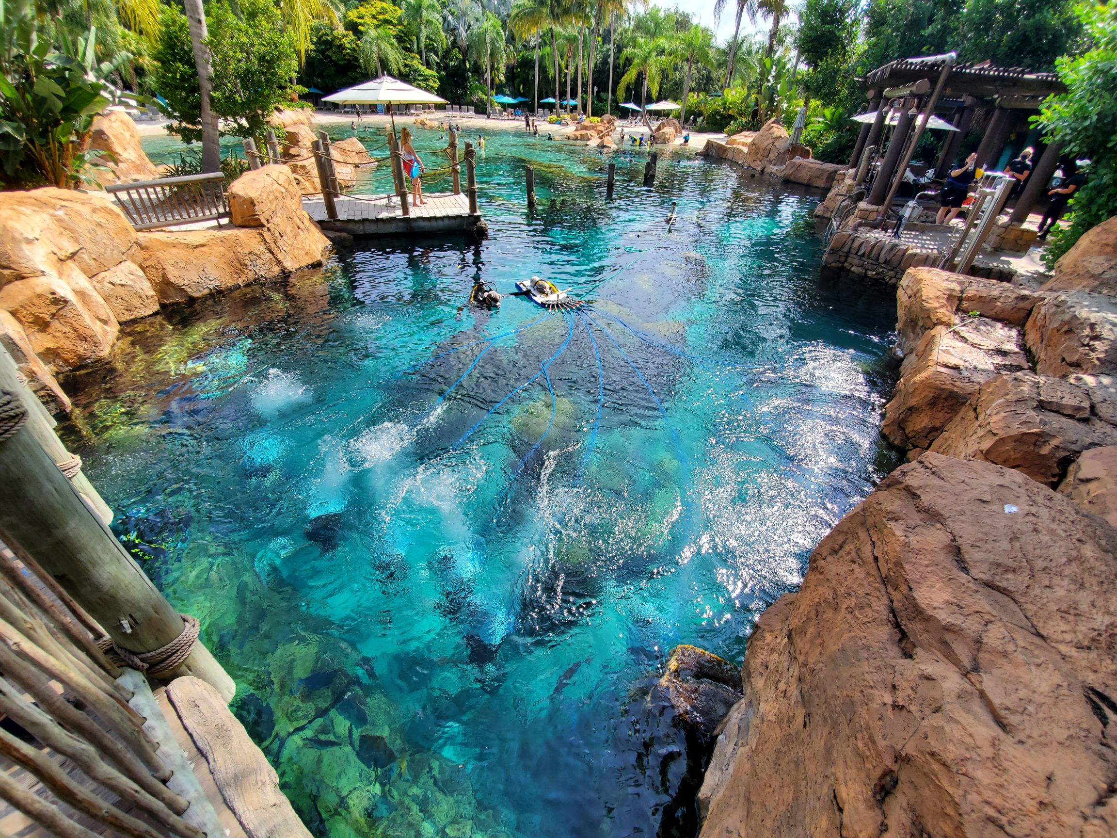 the-ultimate-guide-to-discovery-cove-the-orlando-duo